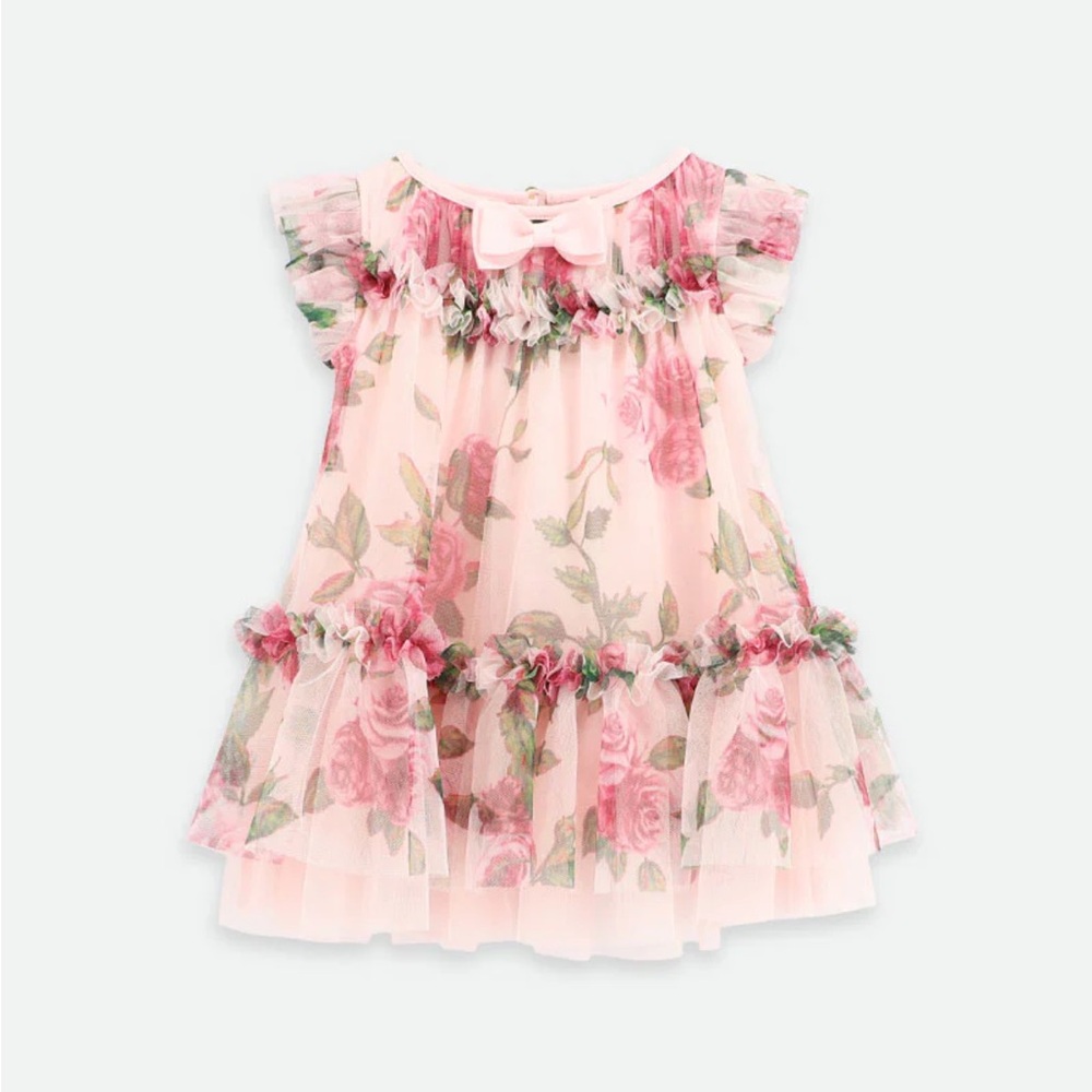 Angels Face Rosebud Roses Tulle Baby Dress Pink 12-18 months